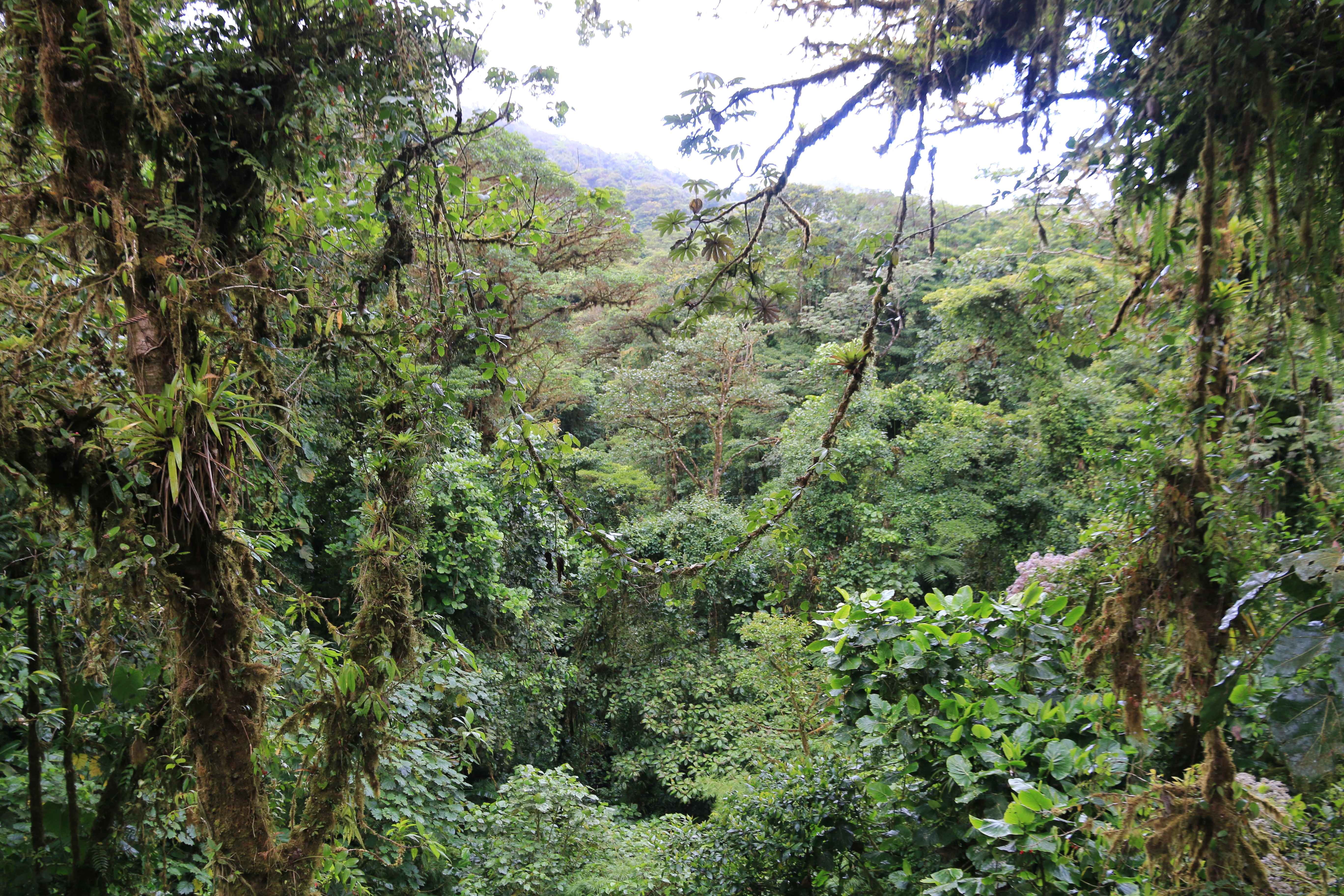 Costa Rica